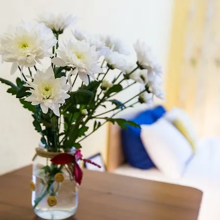 Modern 2Br Apartment In Central Lviv Lviv