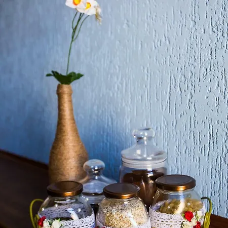 Modern 2Br Apartment In Central Lviv * Lviv